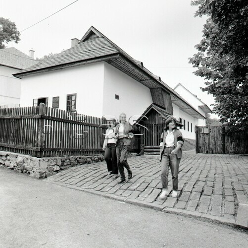 Rodný dom L. Štúra v Uhrovci 